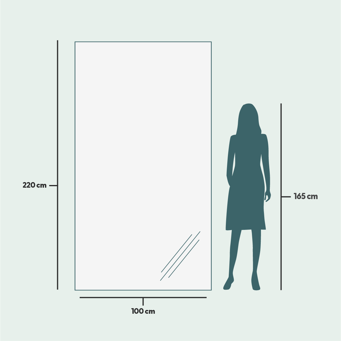 Slimline Full-Length Mirror with White Frame (100x220cm)
