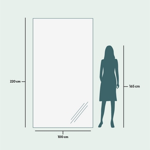 Slimline Full-Length Mirror with White Frame (100x220cm)