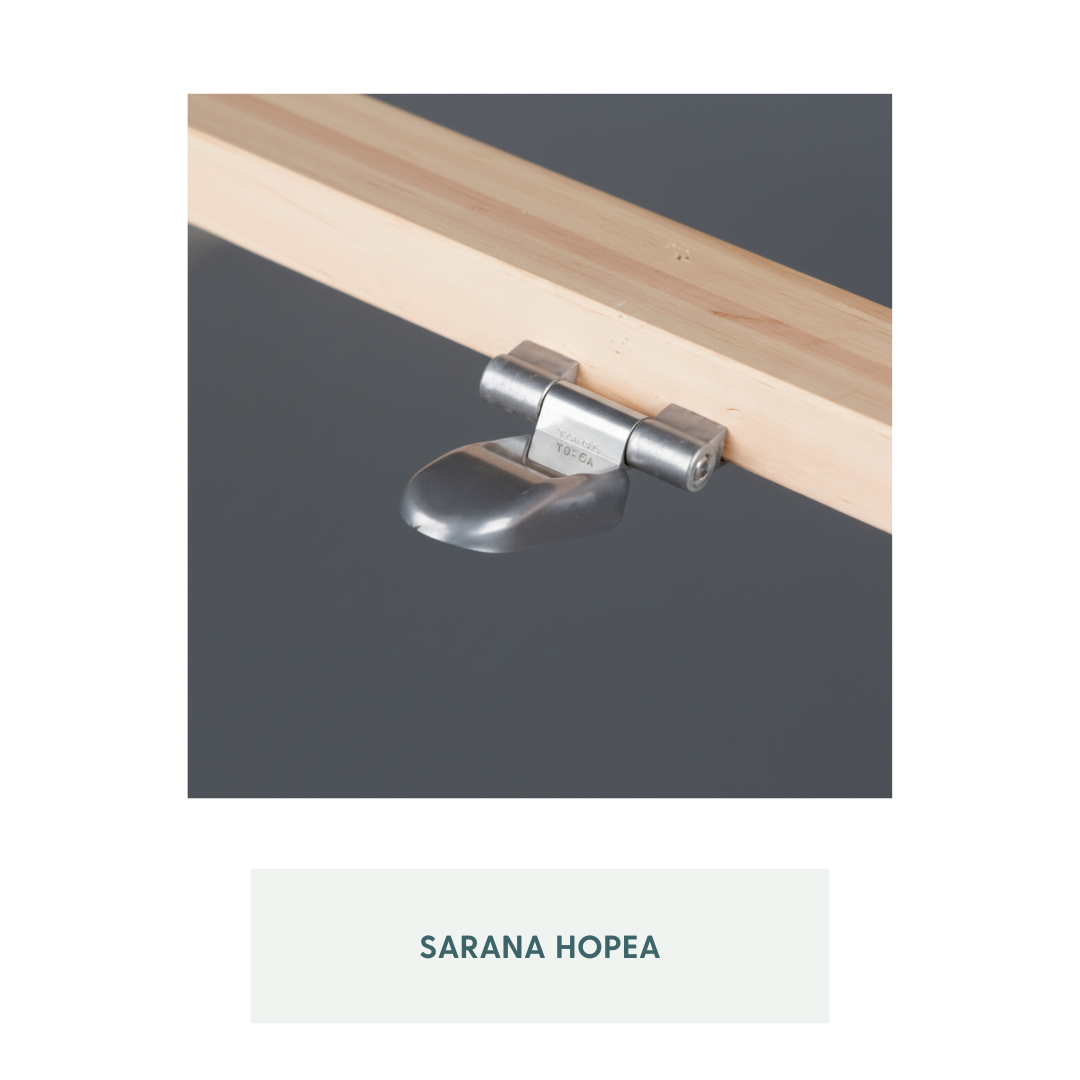 Havu – saunan lasiovi puukarmeilla